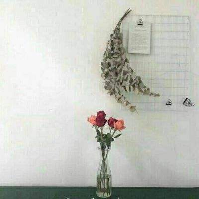 熊猫娱乐appapp下载